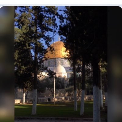 mountainsquds's profile picture. مقدسية عاشقة للقدس وحواريها وزقاقها العتيقة، مهتمة بأحوال المسلمين ومناصرة لقضاياهم . من ليس له ماضٍ وتاريخ ليس له مستقبل .