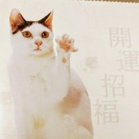 ぽめじゅん(@pomejun835) 's Twitter Profileg