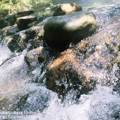 sonssjh1's profile picture. 熊1 找猴0 欢迎找我私聊啊。vx：Cool sinking