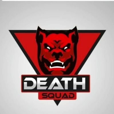 Jugando en la Toplane para el equipo de @DSQ_oficial. // League of Legends // Info. y contacto vía MD (Scrims, preguntas e intereses)
