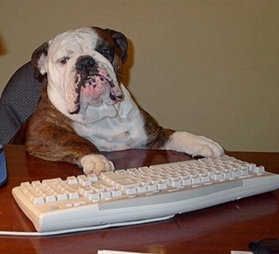 slickwallz's profile picture. Unique and interesting blogs from selected writers.