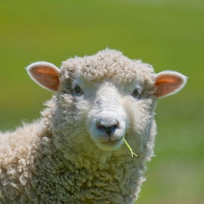 deadpoetlive's profile picture. Born, living, learning. Sometimes wrong, sometimes right, sometimes clueless. It is what it is.