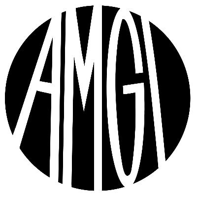 amgistudios Profile Picture