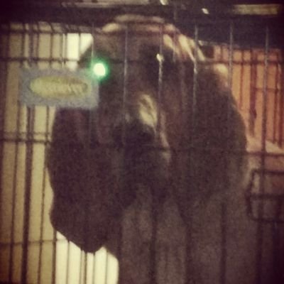 ConnerLeach4's profile picture. 