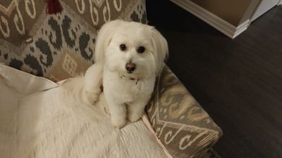 ArmatoMarge's profile picture. 