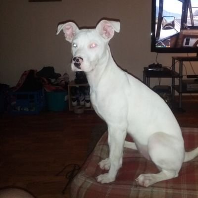 thefarmersist's profile picture. I'm not nearly as funny, as I think I am. This is a story of perseverance and lack of self-awareness.