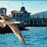 Tariq.hajaya (@tariq_hajaya) Twitter profile photo