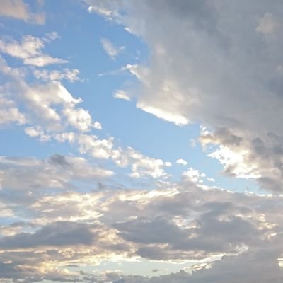 雑多　20↑