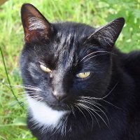 Martin Potter(@PotterVillamil) 's Twitter Profile Photo Martin Potter(@PotterVillamil) 's Twitter Profile Photo