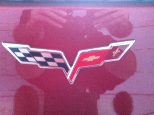 vert07's profile picture. 