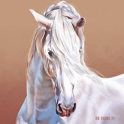 hermesah9's profile picture. لو أني أفقر واحد عاش في العالم .. قمة غناي أني مّﻥ̴ عيال زااااايد .