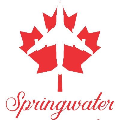 SpringwaterImm1's profile picture. 