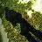 repion86's profile image