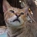 carol (@caaaaaroooooool) Twitter profile photo carol (@caaaaaroooooool) Twitter profile photo