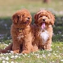 Raymond48428465's profile picture. Freedom to all Human Race