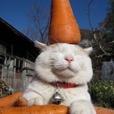 Farmersmart's profile image