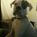 Kerry Brophy - @sherrykerry53 - Twitter