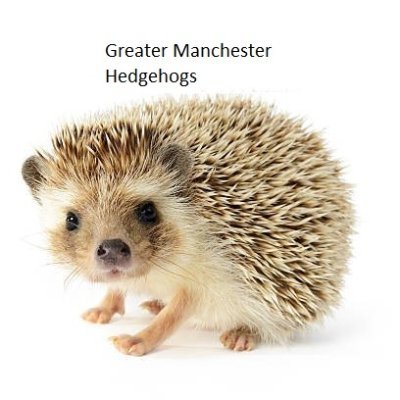 GreaterHedgehog's profile picture. This is for a College project and is only being used to spread awareness. These posts are not real and shouldn't be taken seriously.