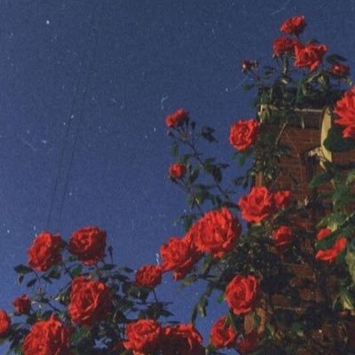 ifCTCoHOclUYXu4's profile picture. kk