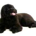 Jeff Catlett - @UNCFUZZY - Twitter