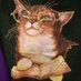 AmyCat 😺 #ByeDon! (@bookuniverse) Twitter profile photo AmyCat 😺 #ByeDon! (@bookuniverse) Twitter profile photo