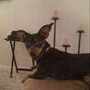 David Tyree - @unvrsawme - Twitter