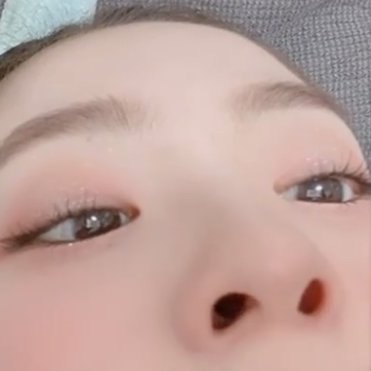 irenesniffs's profile picture. living and non-living things that Irene sniffs 👃