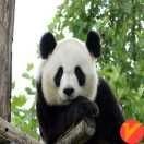 x0tJRtzJF6jVuSH's profile picture. 无