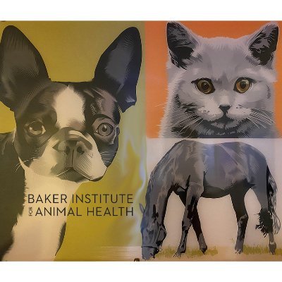 Dedicated to animal health research since 1950. Studies of cancer, reproduction, infectious diseases, making a difference for animals around the world.