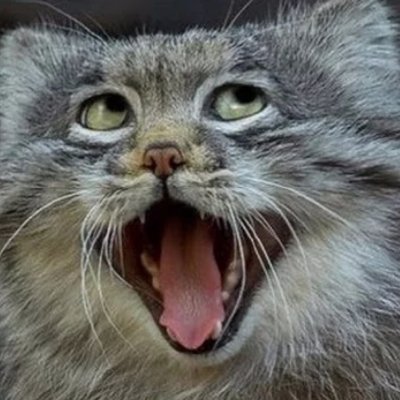 babybabycloud's profile picture. 中国人