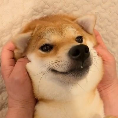 午夜殺猪郎さんのプロフィール画像