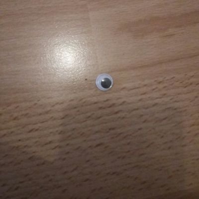 erika_kastner's profile picture. Umweltschutzbegeistert, gesellschaftskritisch, mannigfaltig interessiert, Joko u Klaas Fan #Schubladeninkompatibel