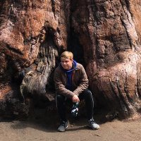 Paul Willis (@swervyphudson) 's Twitter Profile