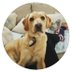 Izzy (@izzyt1de) Twitter profile photo