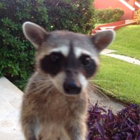 Mark jarvis (@markjar1966) 's Twitter Profile