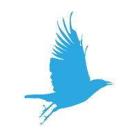 Tirendaz (@tirendaz) Twitter profile photo
