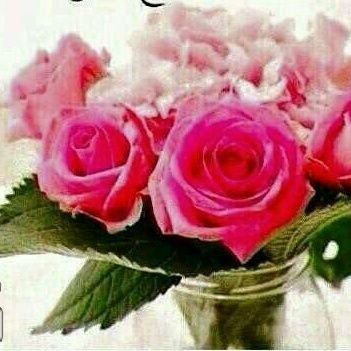 AssabKeltoum's profile picture. ...