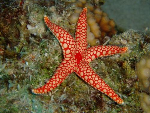 hurghada16's profile picture. 