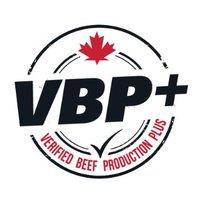 VBP+ Canada(@VBPCanada) 's Twitter Profile Photo