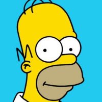 Homer Simpson (@AllAboutSFO) 's Twitter Profile Photo
