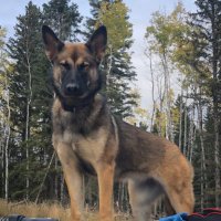 JDGP (@jasonprokopetz) 's Twitter Profile Photo