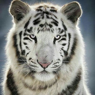 diegofer0724's profile picture. 