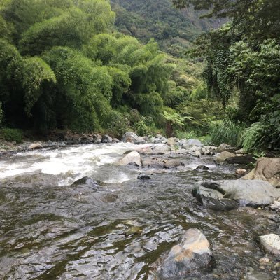 Nuestra acción debe encaminarse a reencontrarnos con nuestra conciencia colectiva, trabajemos los ángulos de luz, único objetivo mejores seres universales