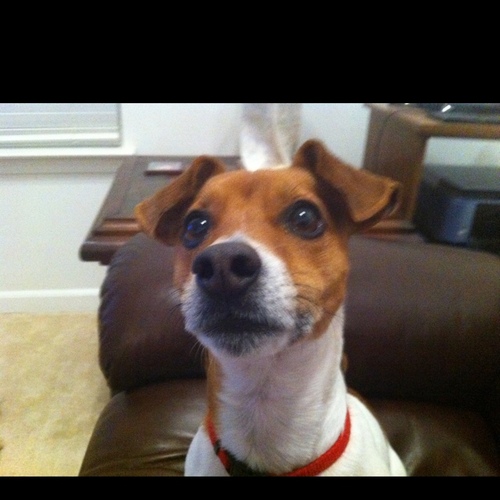 JeffNelson10's profile picture. 