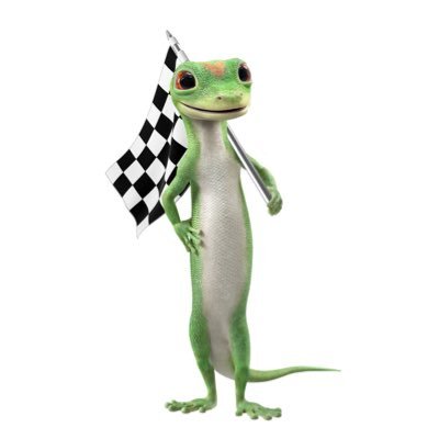 The official Twitter page of the GEICO Racing program.