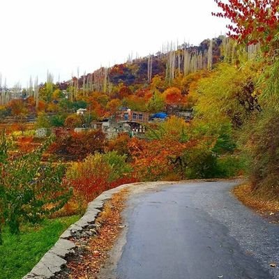 MWKhan04669760's profile picture. 