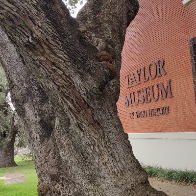 Taylor Museum of Waco History is remarkable. Info on the Huaco Indians, Constitution history, rare Rising Sun chair, Bell from Doris Millers ship and much more.