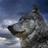 Mengor_FSX's profile image
