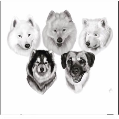 NicoleWelton1's profile picture. trust the journey