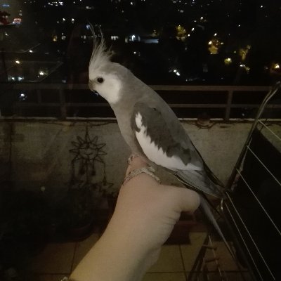 KarinBM22's profile picture. 